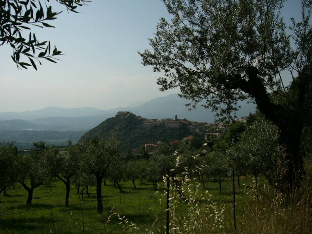 Lush Mediterranean landscape with olive trees and a scenic hilltop town in the distance, showcasing the natural beauty and historic charm of Italy's rural areas.
