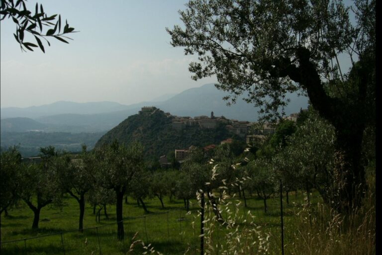 Enjoy Hlls of Lazio