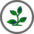 Curio Italia logo featuring a green plant icon, representing eco-friendly and sustainable products, emphasizing quality and Italian craftsmanship.