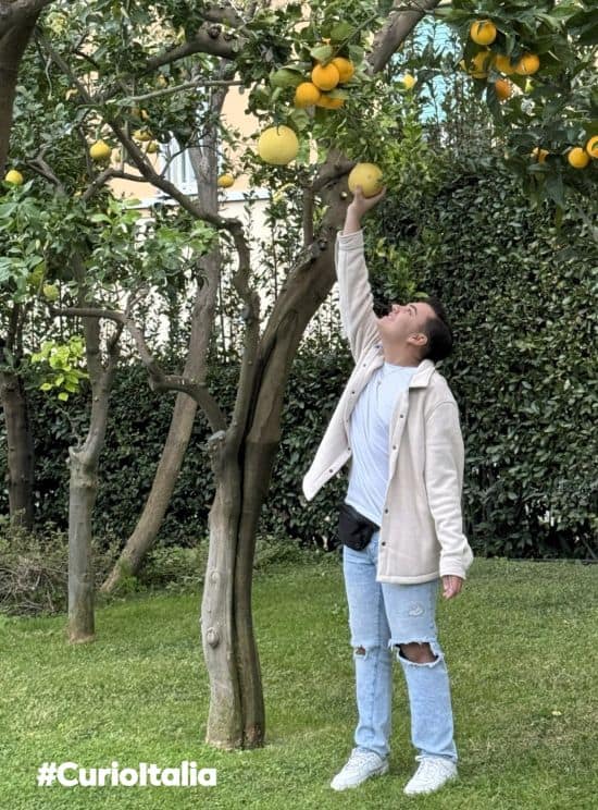 Young girl reaching up to pick lemons from a tree in a lush garden setting, showcasing fresh citrus fruits and vibrant greenery.