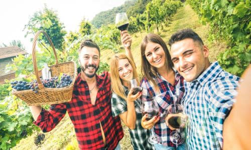 Group of friends enjoying wine tasting outdoors in a vineyard, celebrating Win³ Partnerships with smiles and glasses of red wine.