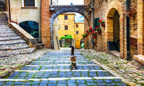 Charming Italian village street with cobblestone pavement, historic brick buildings, and vibrant flowers, illustrating the beauty and cultural richness of Italy.